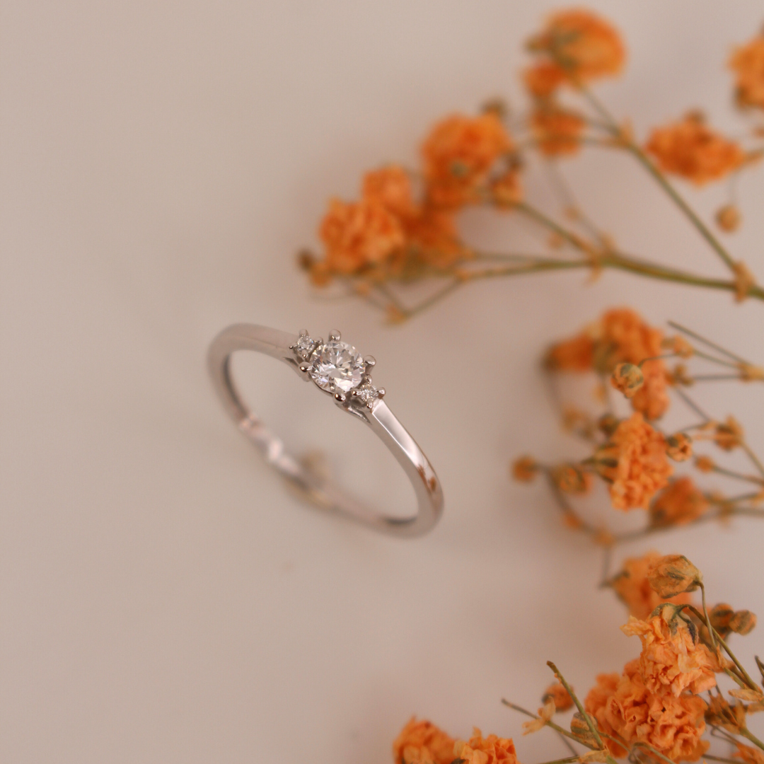 Anillo trilogia