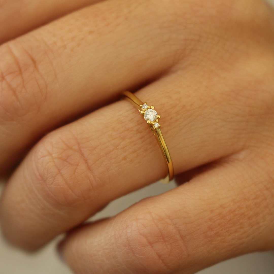 Anillo mini trilogia